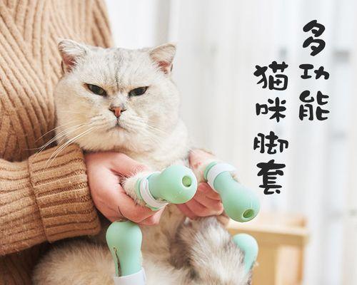 猫妈妈生后一天出血，你需要知道的关键事项（以宠物为主）