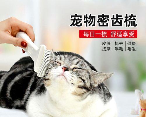 揭秘宠物猫听到梳子声会吐的真相（为什么猫听到梳子声会反应强烈）