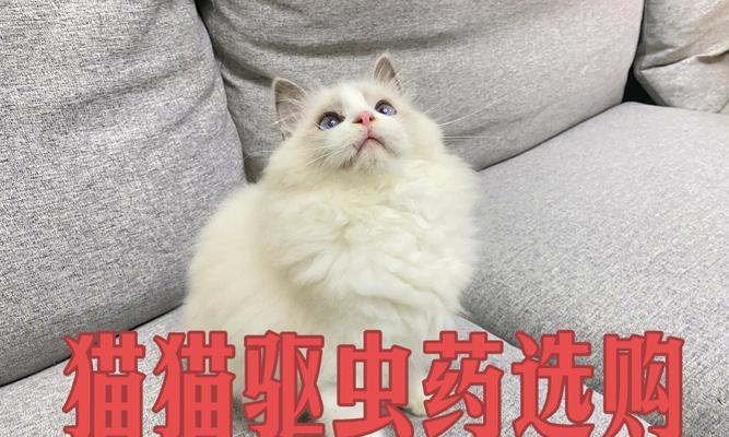 猫咪吃了驱虫药没拉出，如何处理（解决宠物吃药后没拉出的问题）