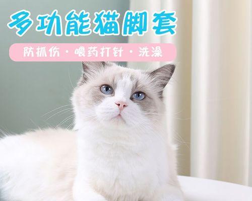 猫咪穿鞋子脚掌肿了,如何避免(关注猫咪的脚掌健康)