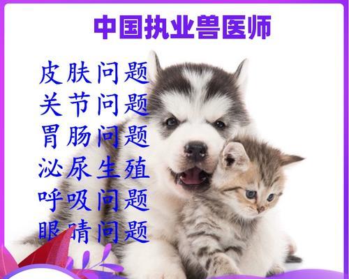 如何治疗宠物猫咪肝炎(预防与治疗猫咪肝炎的全面指南)