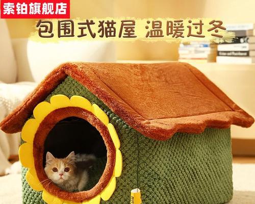 猫咪检测报告揭秘(从宠物角度看待猫咪健康问题)