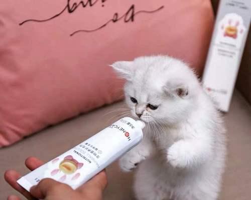 猫咪化毛膏的作用(让爱宠更健康——猫咪化毛膏的使用指南)