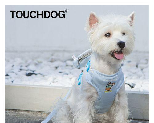 如何区分比熊和泰迪幼犬（宠物爱好者必知的犬种鉴别技巧）