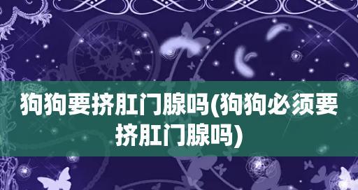 狗狗肛门腺炎治愈时间(以宠物为主)