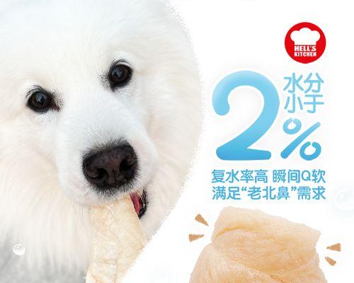 宠物小猫肚账该吃什么药(解决宠物肠胃问题的关键在于正确用药)