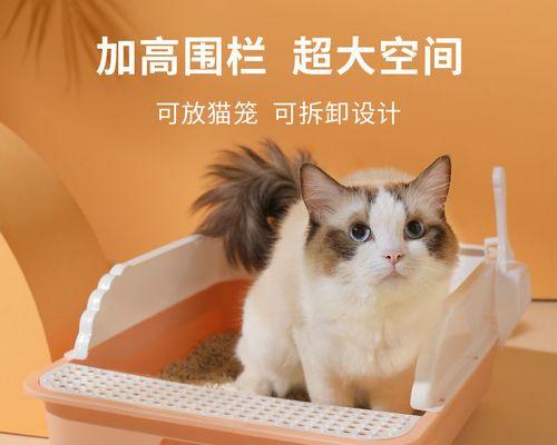 小猫为何害怕进猫砂盆(了解宠物心理需求)