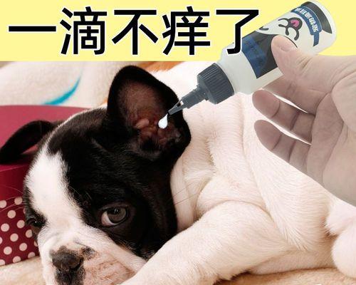 小狗臭线的成因及治疗方法(探究宠物小狗身上的臭味来龙去脉)