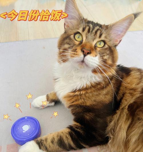 为什么猫咪会吐虫(探究猫咪体内寄生虫的原因与防治方法)