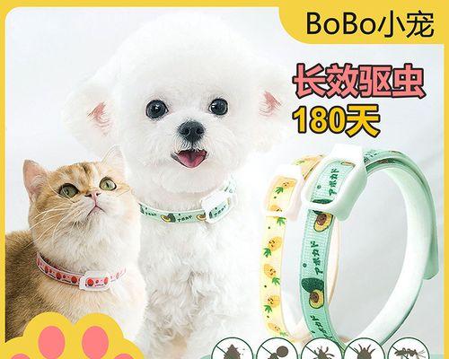如何应对猫咪的跳骚行为（一位宠物主人的亲身经历与应对策略）