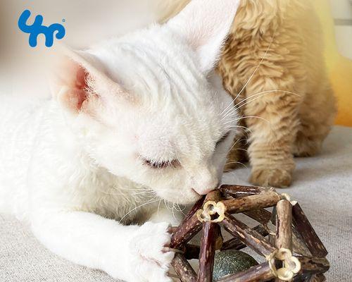 如何正确使用以木天蓼对猫进行保健(了解以木天蓼的作用与使用方法)
