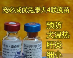 详解犬三联疫苗的价格和注意事项(保护宠物健康)