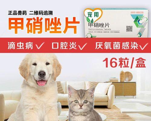 猫咪软便治疗全攻略（宠物猫咪软便症状、治疗方法详解）