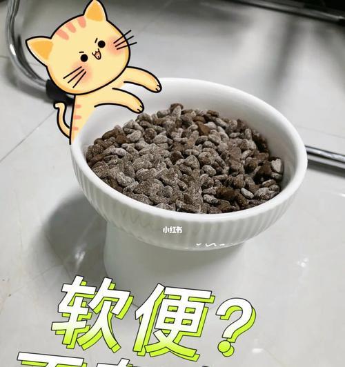 猫咪软便的表现和预防方法(了解宠物健康)