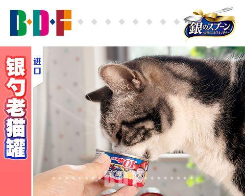 猫咪老吐猫粮的原因(探究为什么猫咪总是吐出吃下去的猫粮)