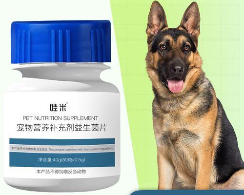 狗狗肠胃不好拉稀怎么办(解决狗狗肠胃问题的方法和注意事项)
