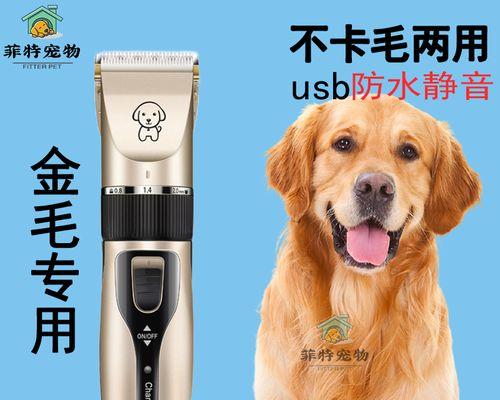 探究狗狗舔的原因（以舔行为揭示宠物心理）