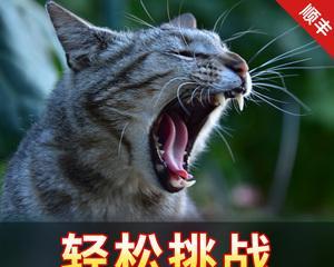 狗狗感冒了怎么办(寻找治疗犬流感的正确方式)