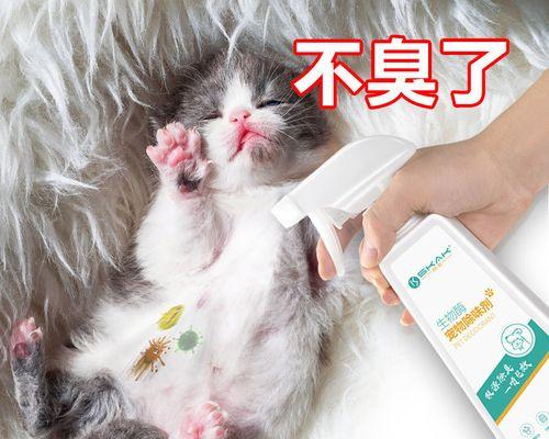 猫咪尿的秘密(从宠物到生活中的隐患)