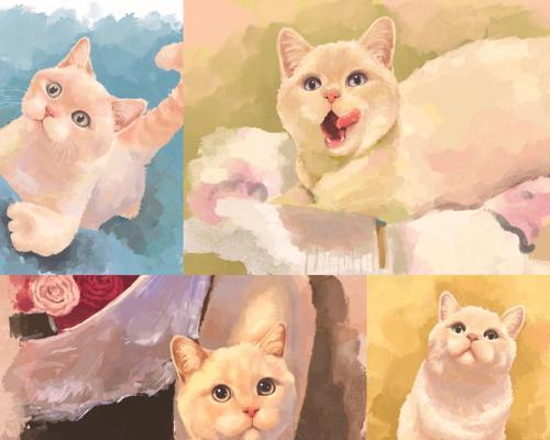 小猫咪的童谣世界（以啾啾儿歌为引）