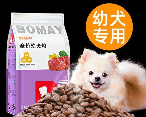 4个月小泰迪的最佳狗粮选择（从宠物的角度看待健康饮食）