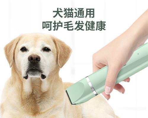 以电推子给狗狗使用的注意事项（为宠物健康安全着想）