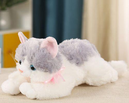 如何处理公猫欺负小猫的问题(以爱护宠物为前提)