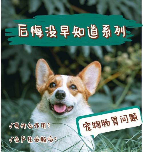 宠物狗不能吃的益生菌