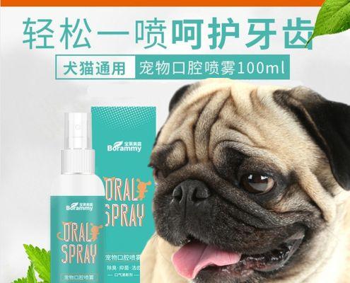 当爱宠把主人咬了怎么办（处理家中爱宠咬人事件的正确方式）