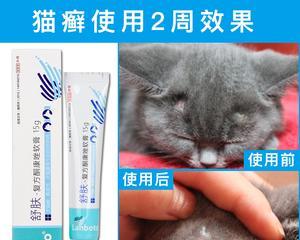 狗狗长癣怎么办(探秘治疗狗狗长癣的口服药)