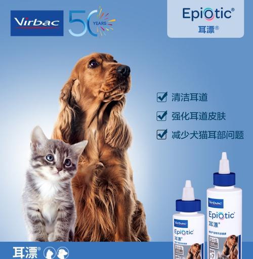 如何治疗猫咪眼角膜炎（用药是关键）