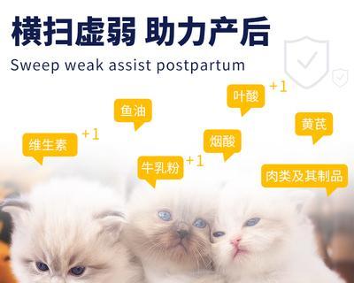 宠物猫咪为什么需要补充维生素(宠物猫咪营养需求的全面解析)