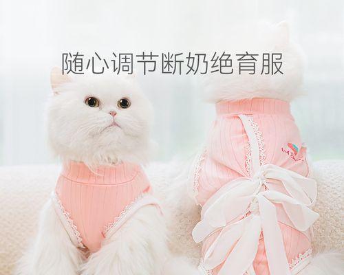 宠物母猫不出奶的原因和应对方法（揭秘宠物母猫不出奶的真相）