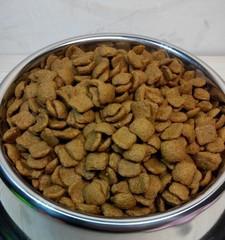 选择天然狗粮，健康从饮食开始（为什么选择天然狗粮）