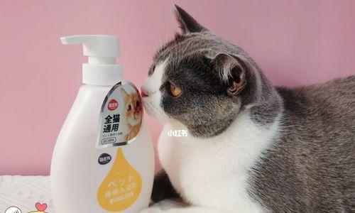 如何选择适合宠物猫的沐浴露（以什么猫咪沐浴露好为主题的全面指南）