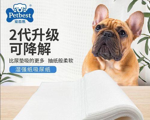 如何解决四岁猫咪不尿尿问题（宠物爱护必备）
