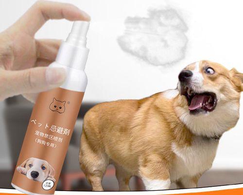 狗狗乱尿（从宠物喜好到健康问题）