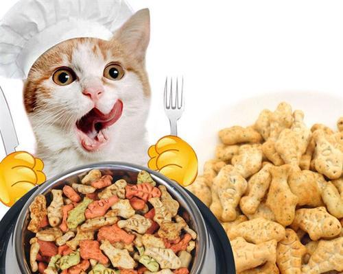 如何正确给小猫泡猫粮（宠物猫的健康不容忽视）