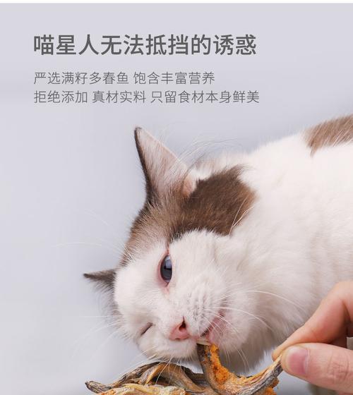 海鱼猫粮，健康宠物的选择（以海鱼为主的猫粮制作方法与营养价值解析）