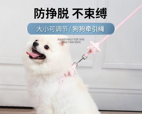 闻什么（狗的嗅觉能力超乎你的想象）