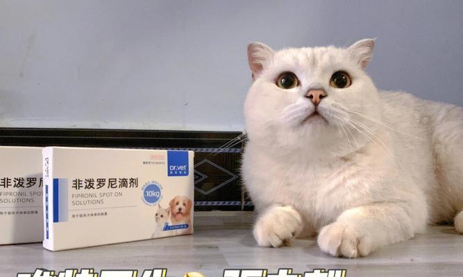 猫咪福来恩的使用指南（以宠物为主的全面健康保障）