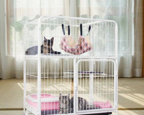 如何以笼子养猫咪(优缺点详解)