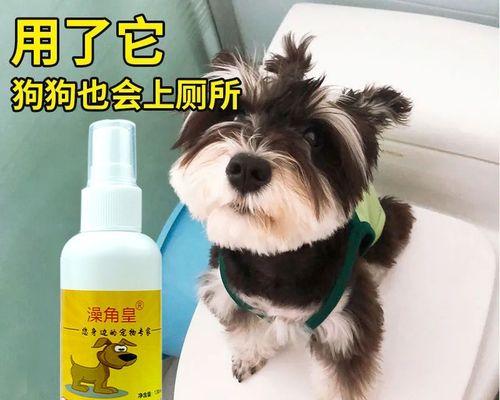 探究狗狗拉大便的原因(从宠物角度分析)
