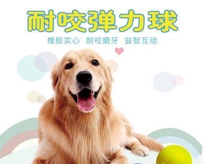 撞死小狗怎么处理(以宠物为主)