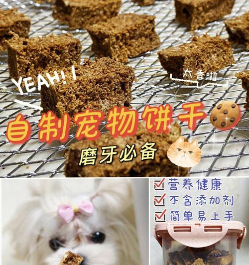 幼犬磨牙选择什么食物最好？如何挑选合适的磨牙零食？