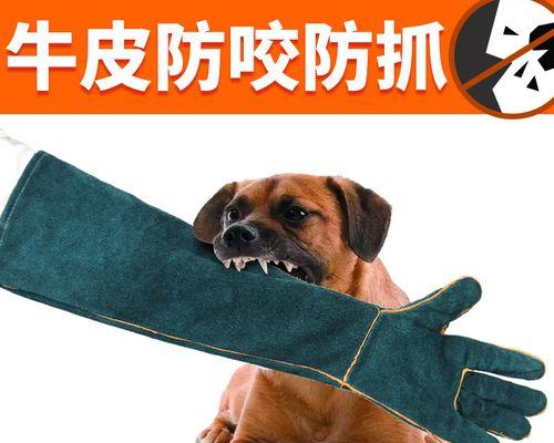 被猫咪咬伤后应该怎么办?如何处理伤口和预防感染?
