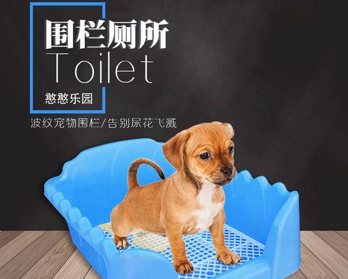 狗狗大便干硬是由于饮食量不足吗？如何改善？