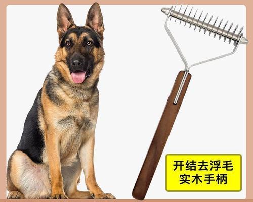狗狗腹部变大是怎么回事？可能的原因有哪些？