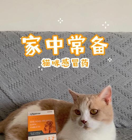 狗狗感冒了怎么办?如何正确给狗狗冲感冒药?