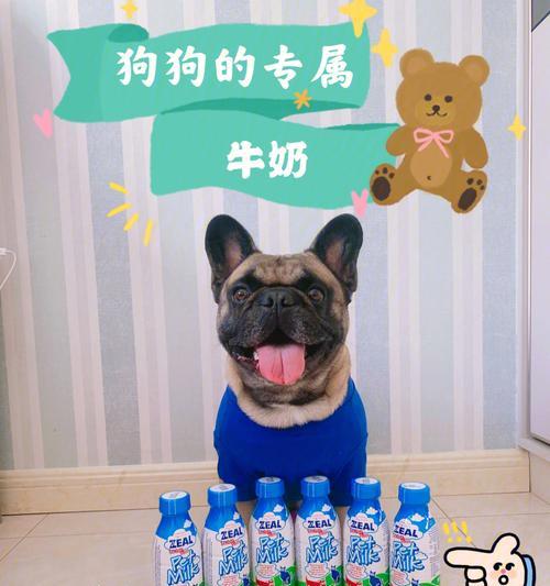 狗狗误饮过期牛奶如何处理？紧急措施有哪些？